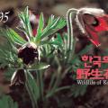 1995 한국의 야생화 1집
